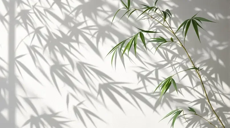 竹影摇风 - 97视频热播影像封面